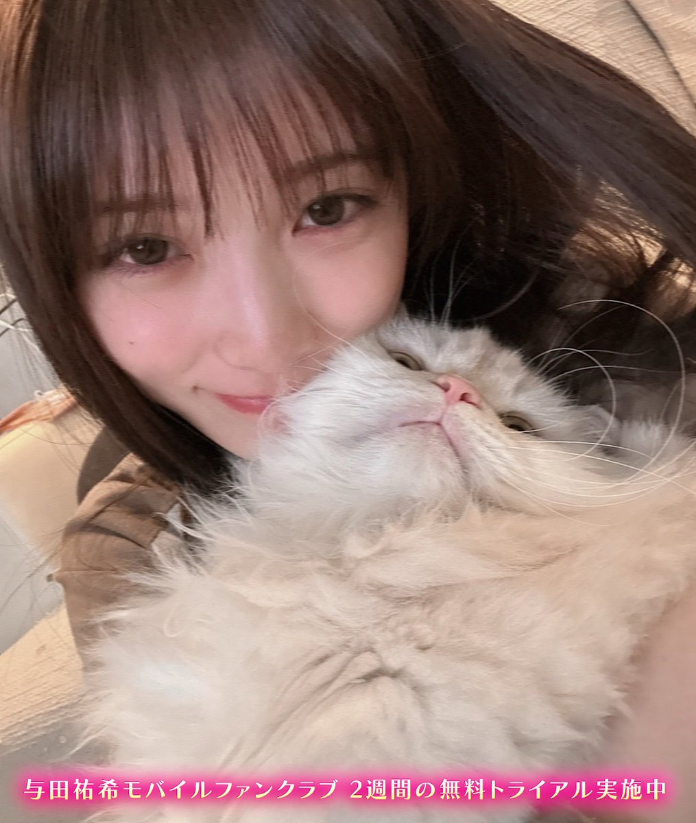 与田祐希 生写真 2016 2017 オールコンプ 値下げ不可 バラ不可 与田祐希 生写真 2016 2017 オールコンプ 値下げ不可 バラ不可 与田