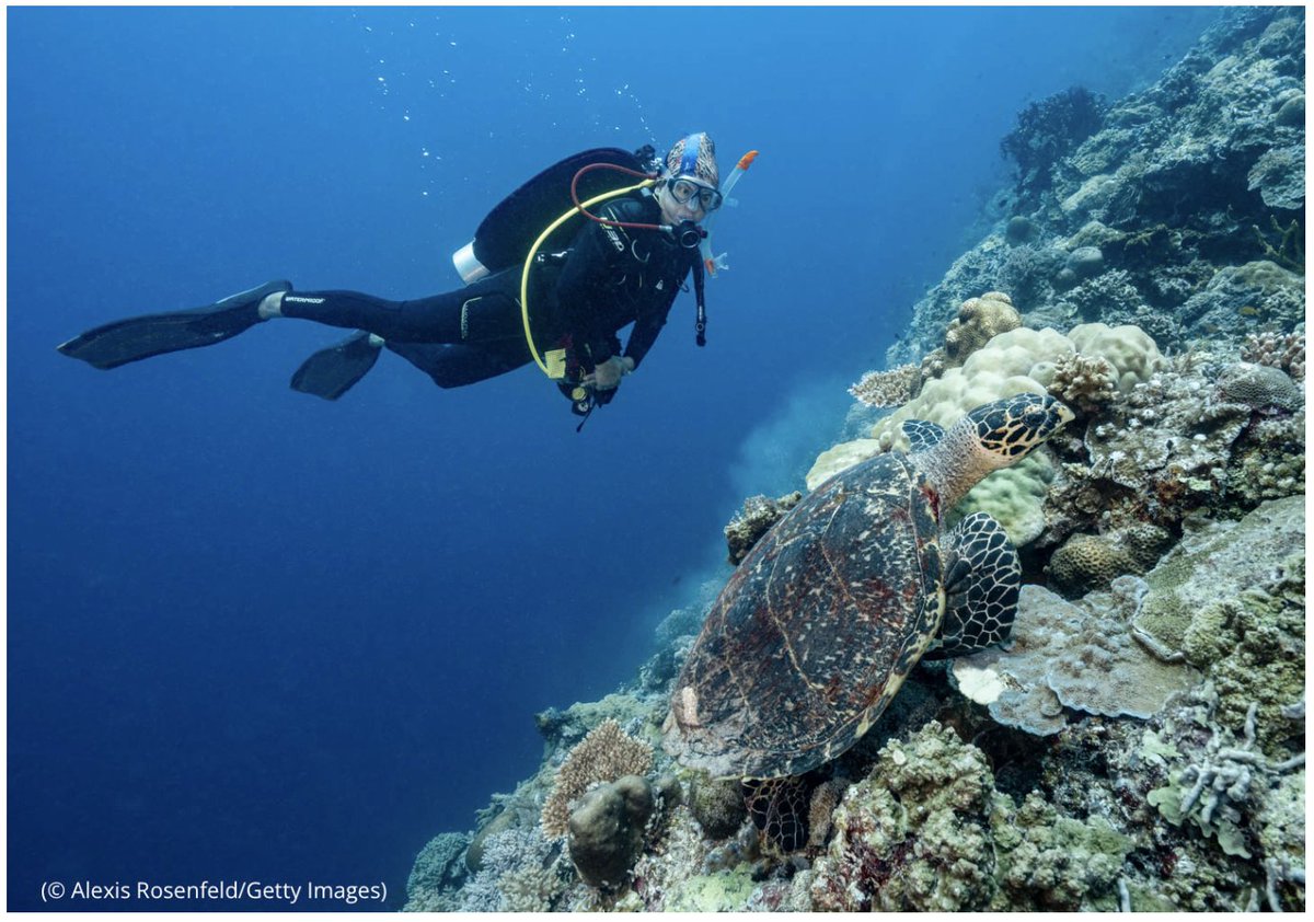 U.S. Asia Pacific Media Hub tweet media