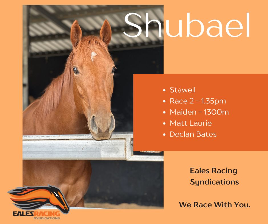 Eales Racing Syndications (@ealesracingsyn) on Twitter photo 🔶RACING TODAY - SHUBAEL🔶
We head to Stawell on this Easter Sunday with Shubael for <a href="/mattlaurierace/">Matt Laurie Racing</a> and jockey <a href="/decbates/">Declan Bates</a>.
She was great first up at Cranbourne and we expect another positive run today.
Best of luck to our owners 🏇 🔶RACING TODAY - SHUBAEL🔶
We head to Stawell on this Easter Sunday with Shubael for <a href="/mattlaurierace/">Matt Laurie Racing</a> and jockey <a href="/decbates/">Declan Bates</a>.
She was great first up at Cranbourne and we expect another positive run today.
Best of luck to our owners 🏇