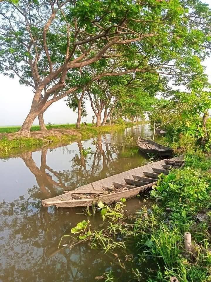 ना शोर था,ना भीड़...बस हरियाली थी और सुकून।🌴🌳
जहां सुबह की शुरुआत पक्षियों की चहचहाहट से होती थी। और शामे पीपल के नीचे बैठकर बीतती थी। पुरानी गांव की जिंदगी- जहां कम था, पर सब कुछ था।। सुप्रभात आपका दिन शुभ हो।🌻💚🌴