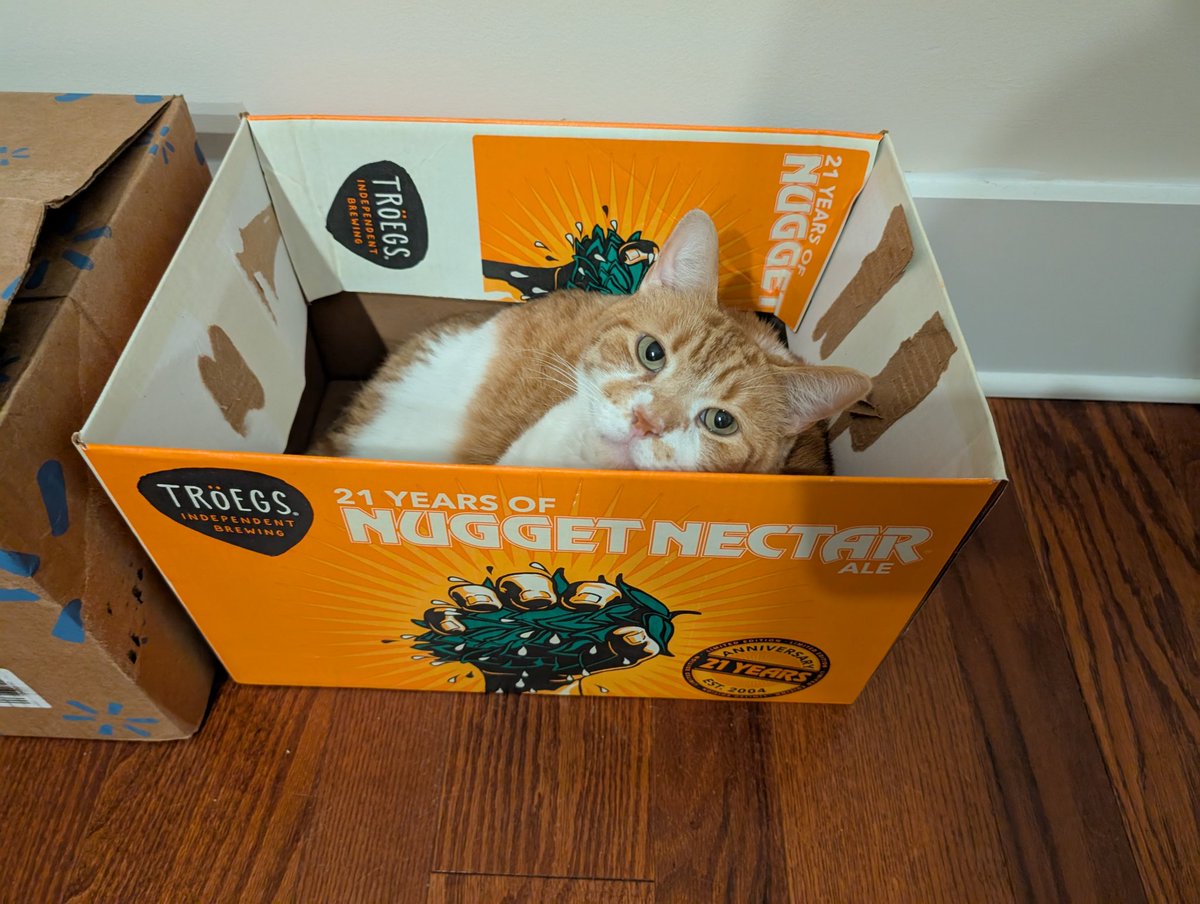 Dharma_Tiger's tweet image. What was better...the original contents of this box or Sidders 😹? #NuggetNectar #Caturday