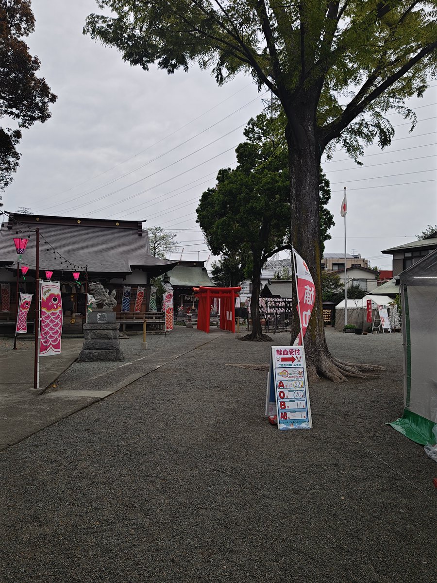 本日は相模原氷川神社[神奈川県相模原市]4月20日献血会です。
 
神社にて地域の皆様のご協力お待ちしております。 
 
神社de献血  
日時：令和7年4月20日   
　　　10：00～12：00/　13：30～16：00
場所：#相模原氷川神社　境内 
地域 : 神奈川県相模原市

#国際災害対策支援機構