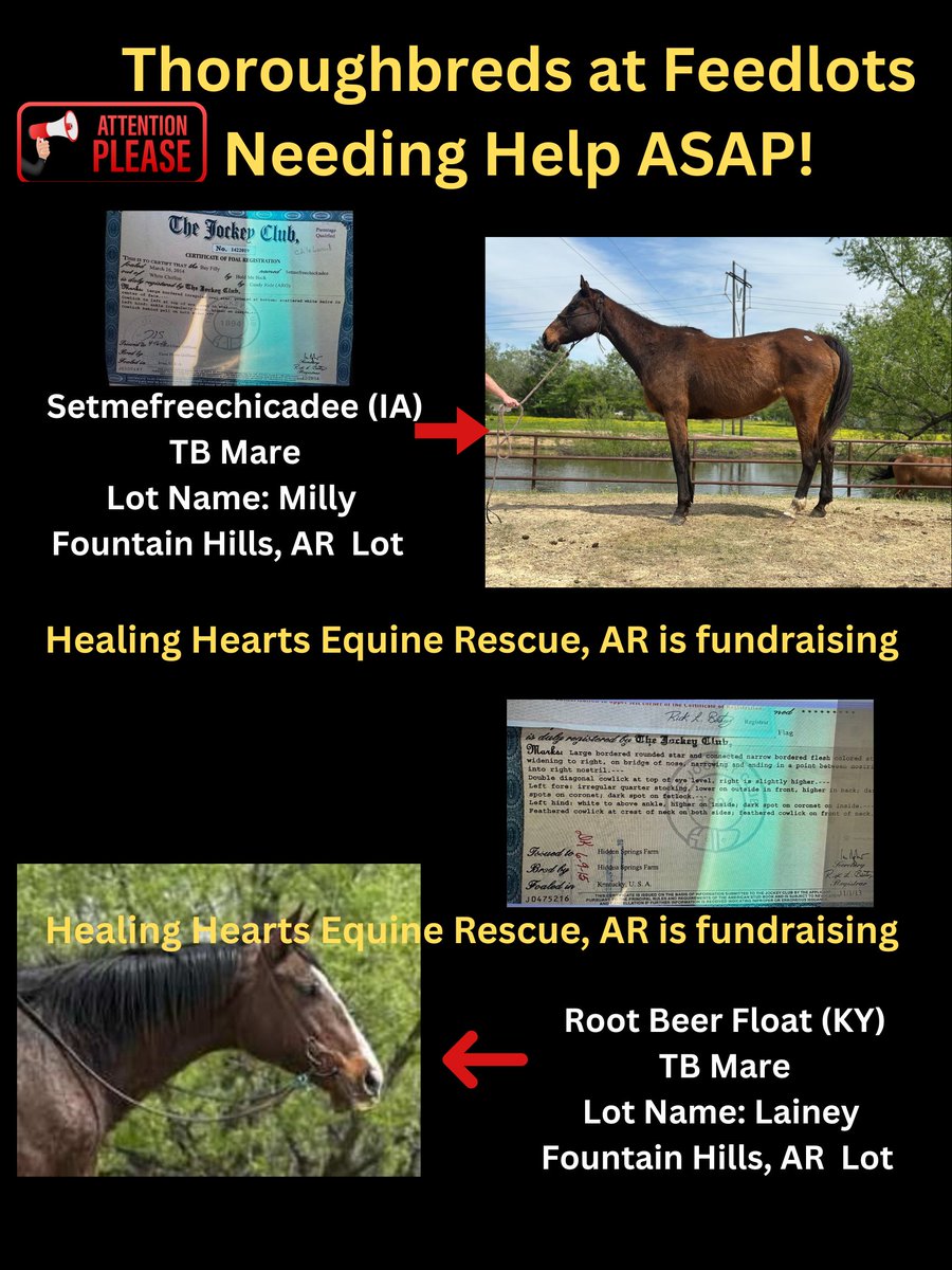 R.A.C.E. Fund, Inc. tweet media