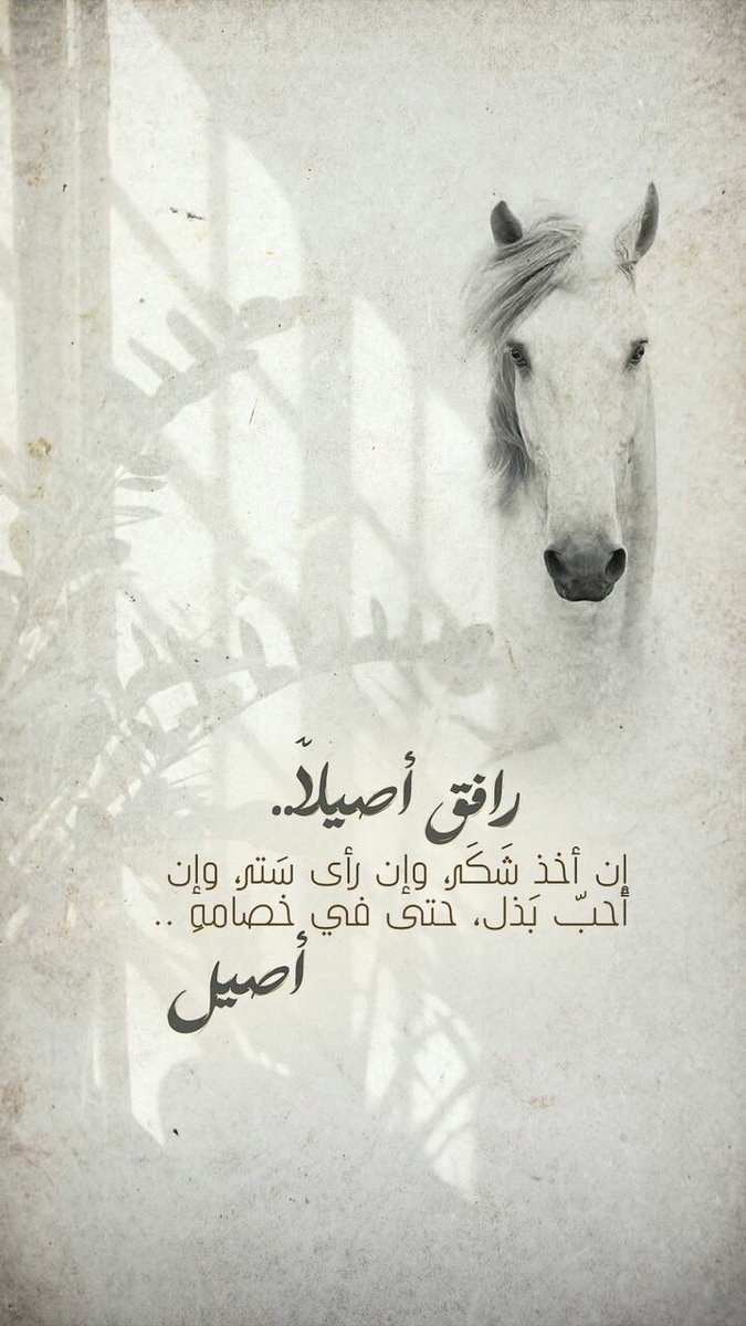 rokia zeyad (@rokiazeyad) on Twitter photo 