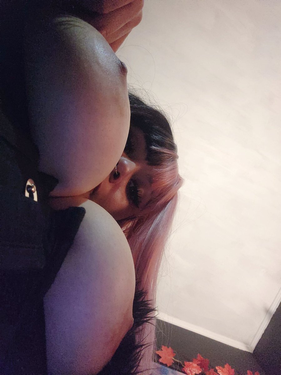 🍥ChobyCat 🍥NSFW🔞🐙 tweet media