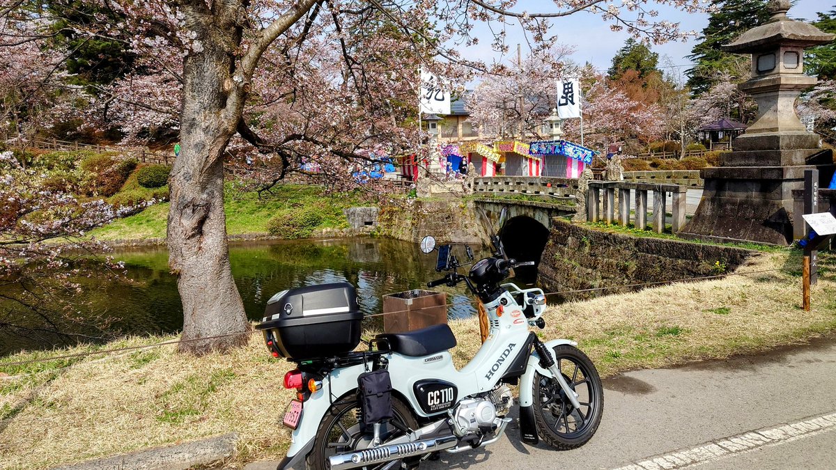 yoshi071060's tweet photo. 山形県米沢市の上杉公園の桜はもうすぐ満開です🌸
#上杉公園の桜 #クロスカブ #プコブルー https://t.co/LGTHBxCR3u