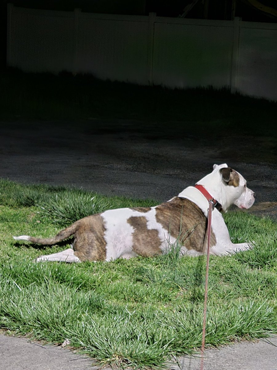 kater♓️k tweet media