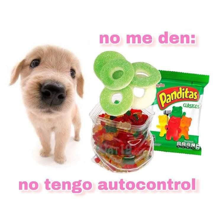 SoyCristianRey's tweet photo. https://t.co/zyzZ0wGNTl