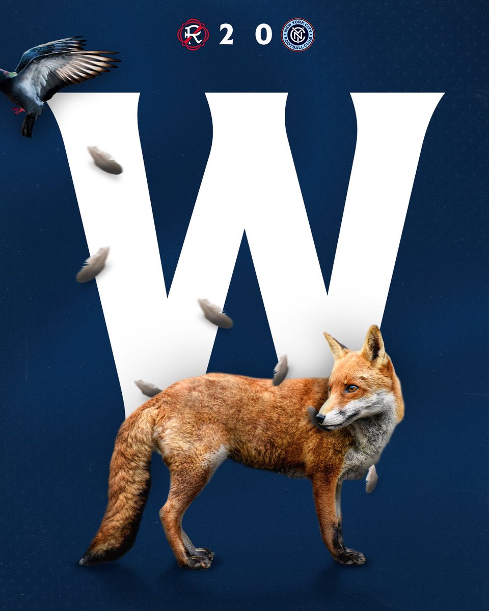NERevolution's tweet photo. Birds aren't real. https://t.co/640Sb9hwMU