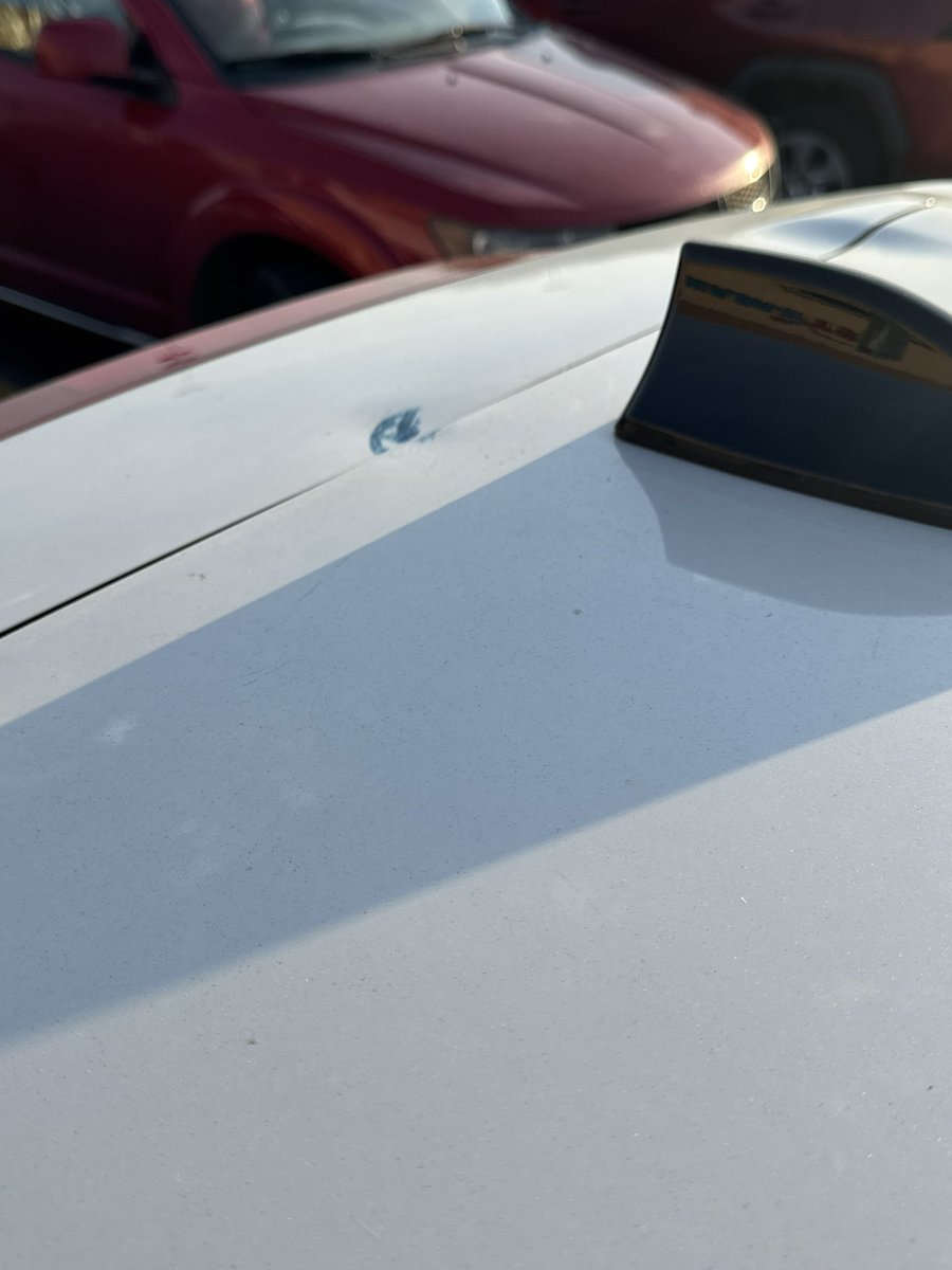 Gina Marini (@ginamarini) on Twitter photo Driving by the <a href="/dirtybirdscwv/">Charleston Dirty Birds</a> game on my break today and one of the fly balls hit my car 😩
<a href="/wchs8fox11/">Eyewitness News</a> Driving by the <a href="/dirtybirdscwv/">Charleston Dirty Birds</a> game on my break today and one of the fly balls hit my car 😩
<a href="/wchs8fox11/">Eyewitness News</a>
