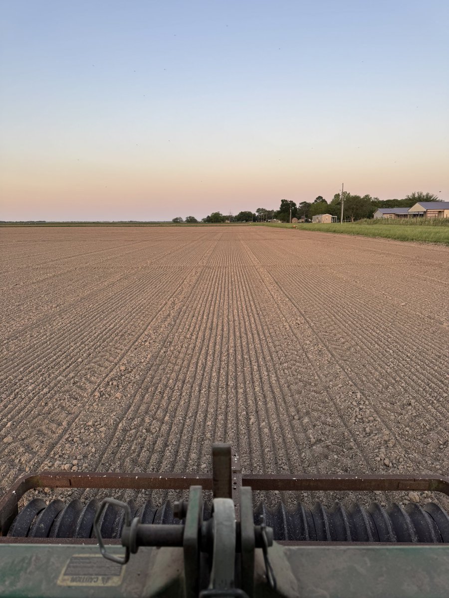 Connor Webster tweet media