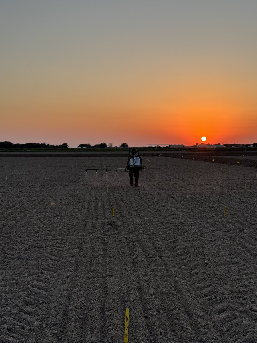 Connor Webster tweet media