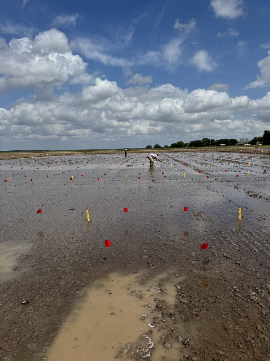 Connor Webster tweet media