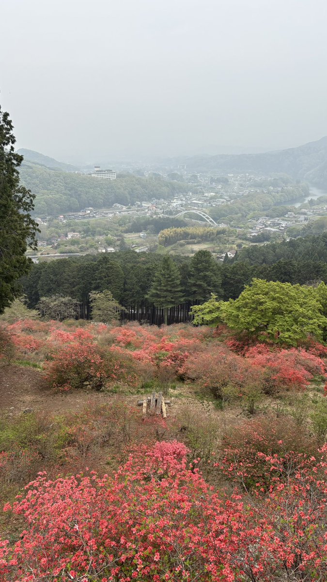 yamatosake's tweet photo. 駅ハイ来ました https://t.co/y4oT5mywWY