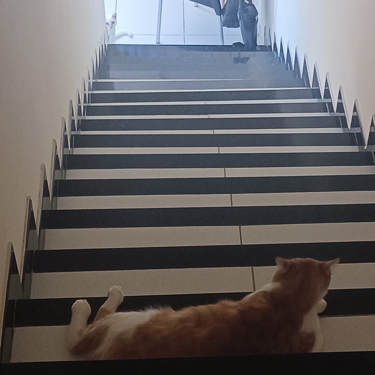 tinyseas's tweet image. 