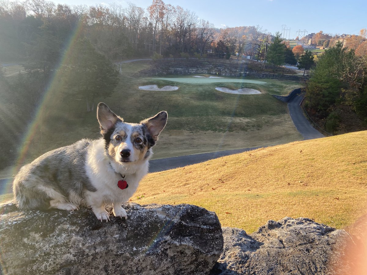 Kolby Armbruster tweet media