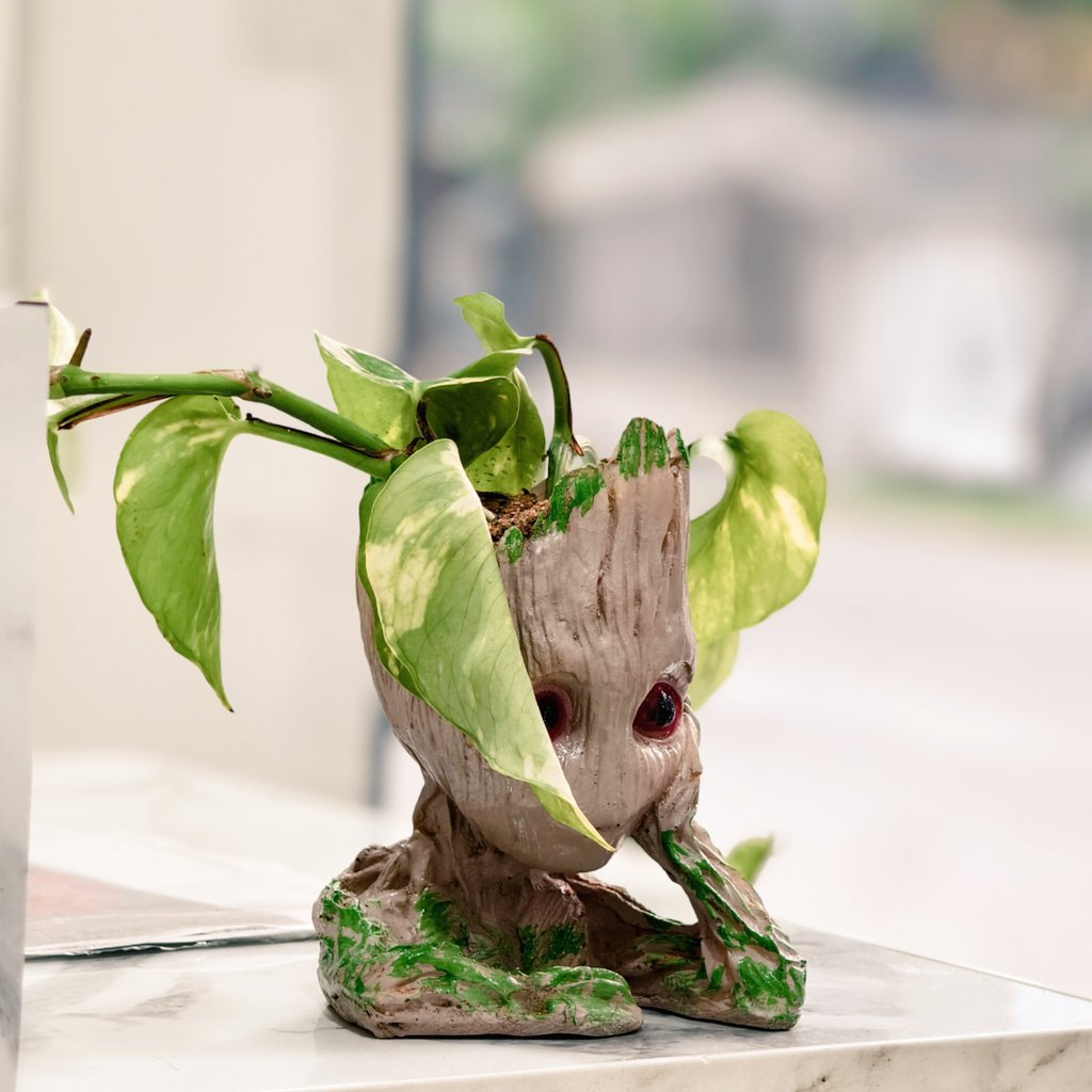 MarxelNev's tweet photo. I am groot

Found this little guy in a reception desk.

#vivo #photography #iamgroot #groot https://t.co/Kiexq0uobs