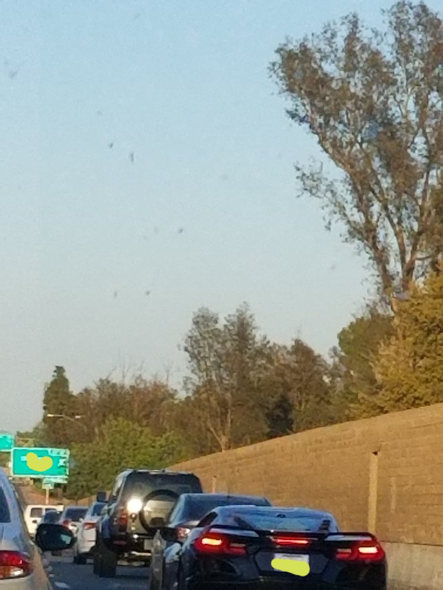 TheGamerPointYT's tweet photo. OMG GUYS I FOUND A LAMBORGHINI!

Sry for not posting in a while https://t.co/yuGyFeB8lc