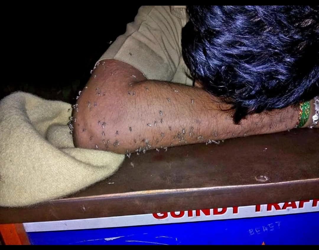 ऐसी कोई चौखट नहीं जहां पुलिस अपना दर्द बता सके 

आपको एक मच्छर काट ले तो नींद नही आती यहां 24 से 48 घण्टे तक कभी कभी लगातार ड्यूटी करने वाले पुलिसकर्मी की हालत देखी है क्या कभी आपने 

जरा गौर से देखिये
यह तस्वीर भी एक पुलिसकर्मी की है जिसकी बांह पर एक सैकड़ा मच्छर बैठकर खून पी