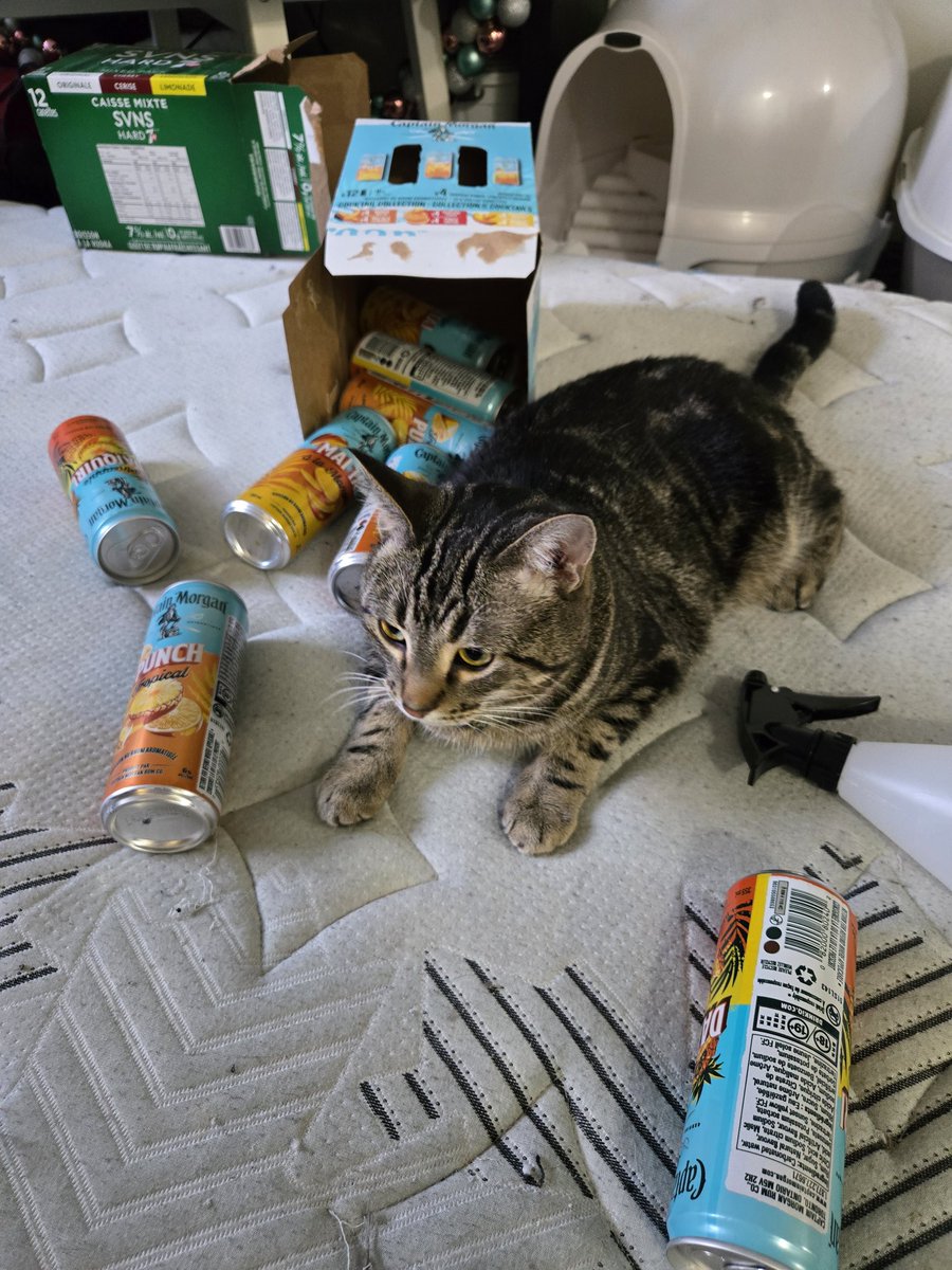 aubrey ✨️ tweet media