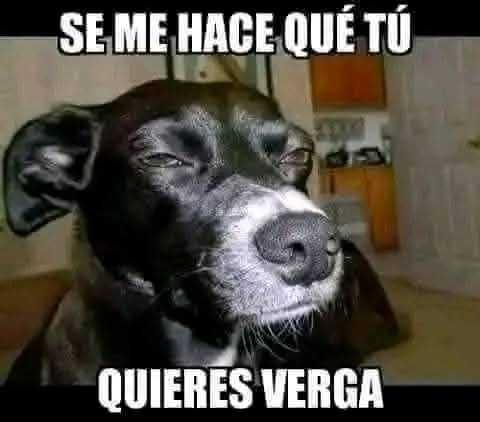 nayoojeda's tweet photo. @LuisaGonzalezEc Ya deje de joder. https://t.co/xmQI8iQz78