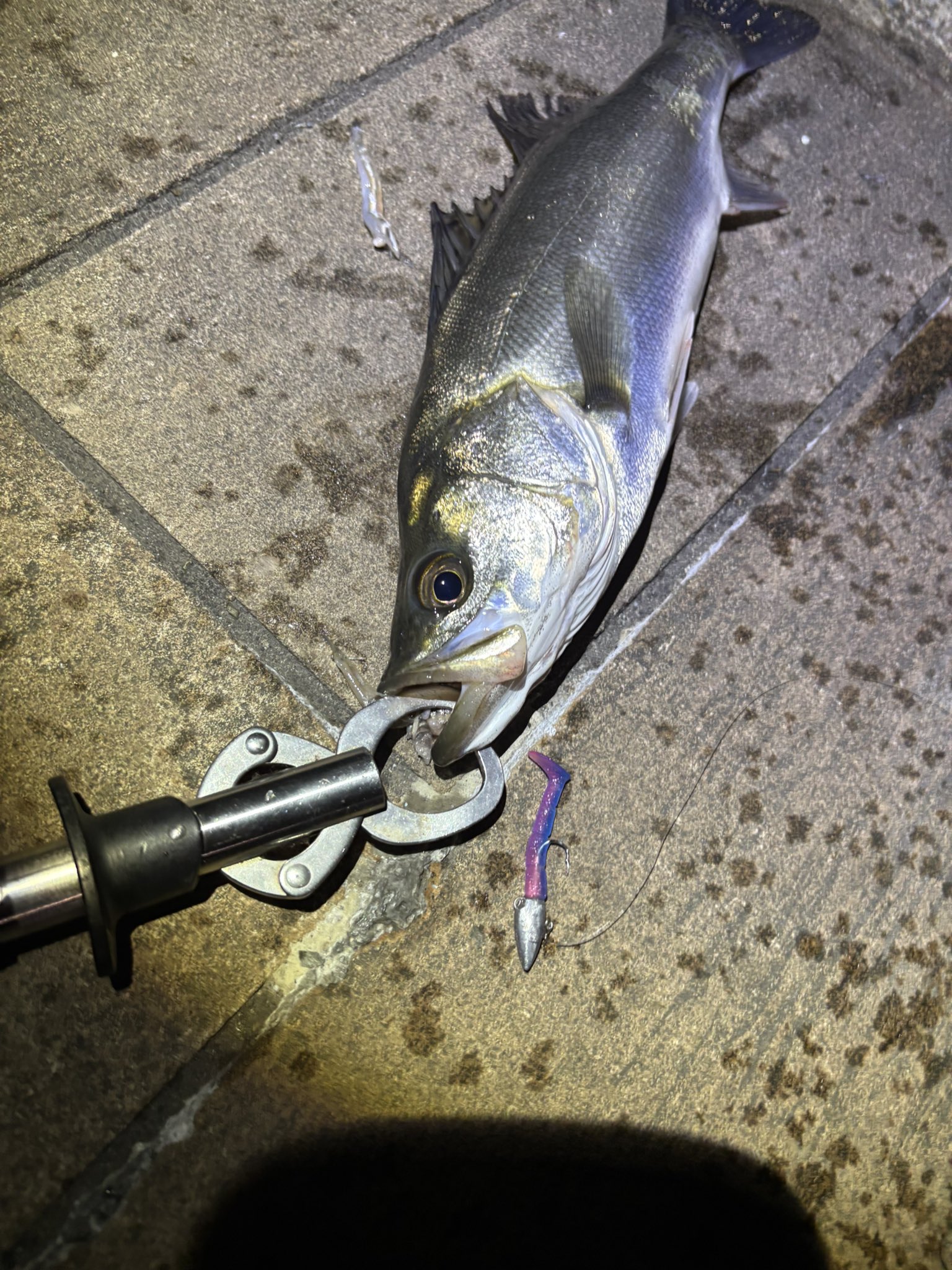 WANS わんず 疑似餌製造 パーカー ブラック M さなぎ しぼり ルアー