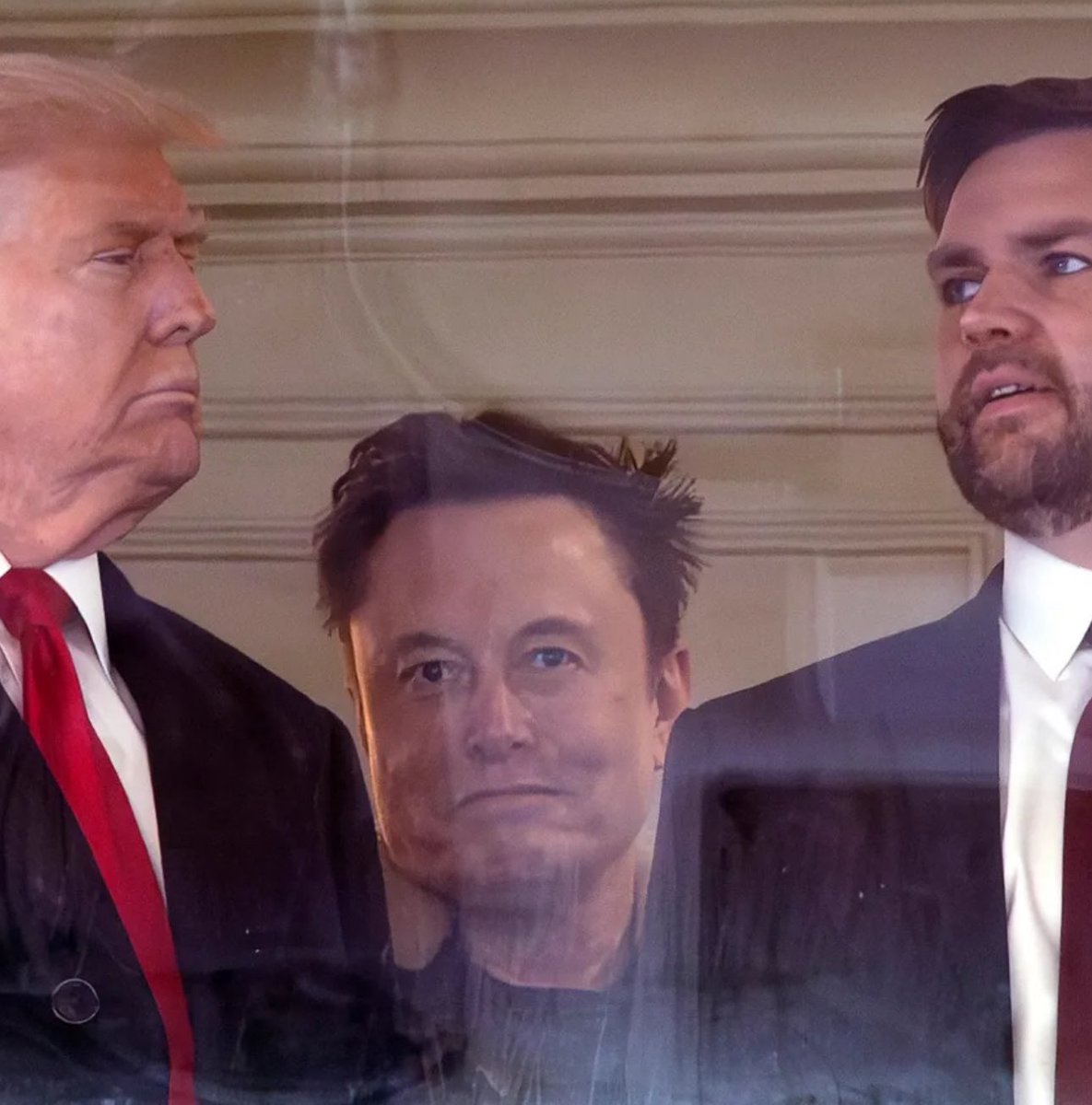 Shlee's New Phase - @shlee@aus.social (@shleeable) on Twitter photo 