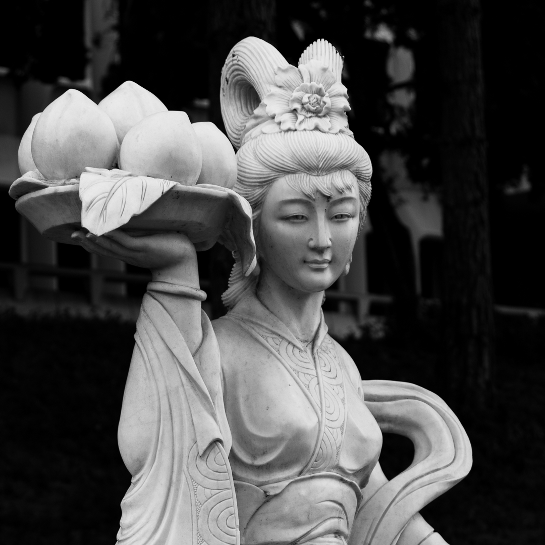 Dan Stiel ✌️ tweet media