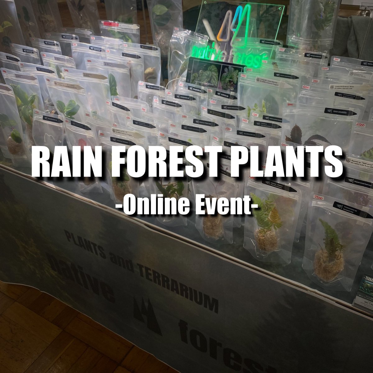 nativeforest1 tweet picture