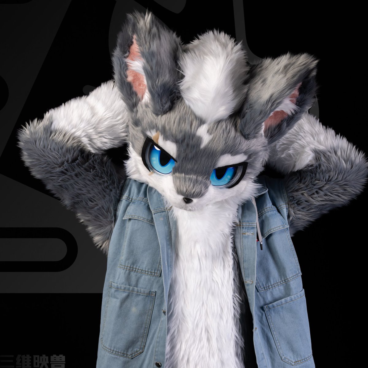 帅气狼狼制作完成～

制作:三维映兽工作室
摄影 <a href="/Qxiao_QAQ/">麒萧</a>