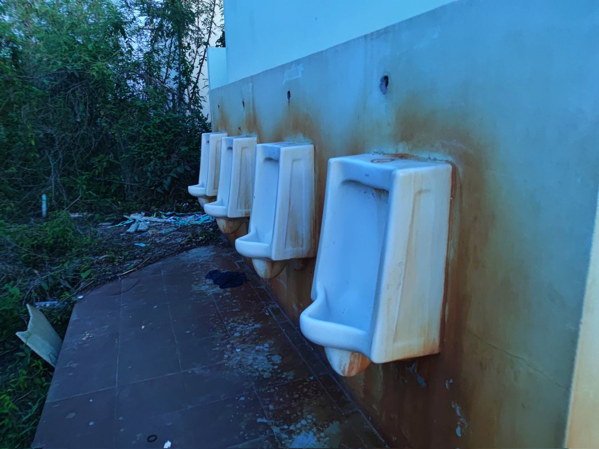 ฺBiMan7 tweet media