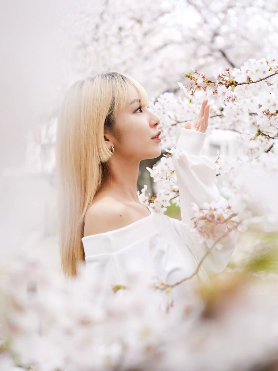 rin_o9o7's tweet photo. 桜撮影🌸
たくさんの桜に囲まれて

皆さんはお花見しましたか？？👀✨

撮影📸:@Tokiya_Zero https://t.co/c5LLIYazWw