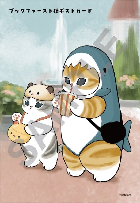 ブックファースト限定特典付き『サメにゃん2』🦈🐈 予約受付中✨ぜひ