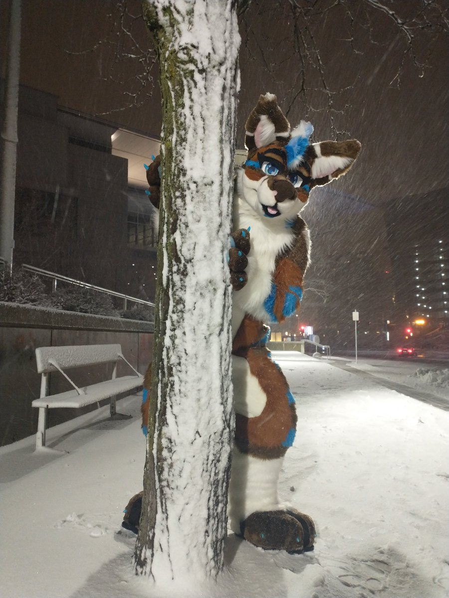 Dasir (@dasir6965251) on Twitter photo Just having some fun in the snow (little late for #FursuitFriday , but oh well)
🧵: <a href="/CodyJethro1/">FURSKIN CACHE</a> Just having some fun in the snow (little late for #FursuitFriday , but oh well)
🧵: <a href="/CodyJethro1/">FURSKIN CACHE</a>