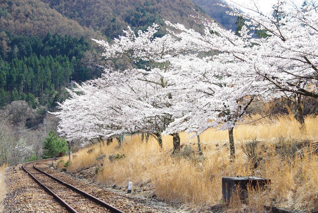 栃木路快速 on X: 