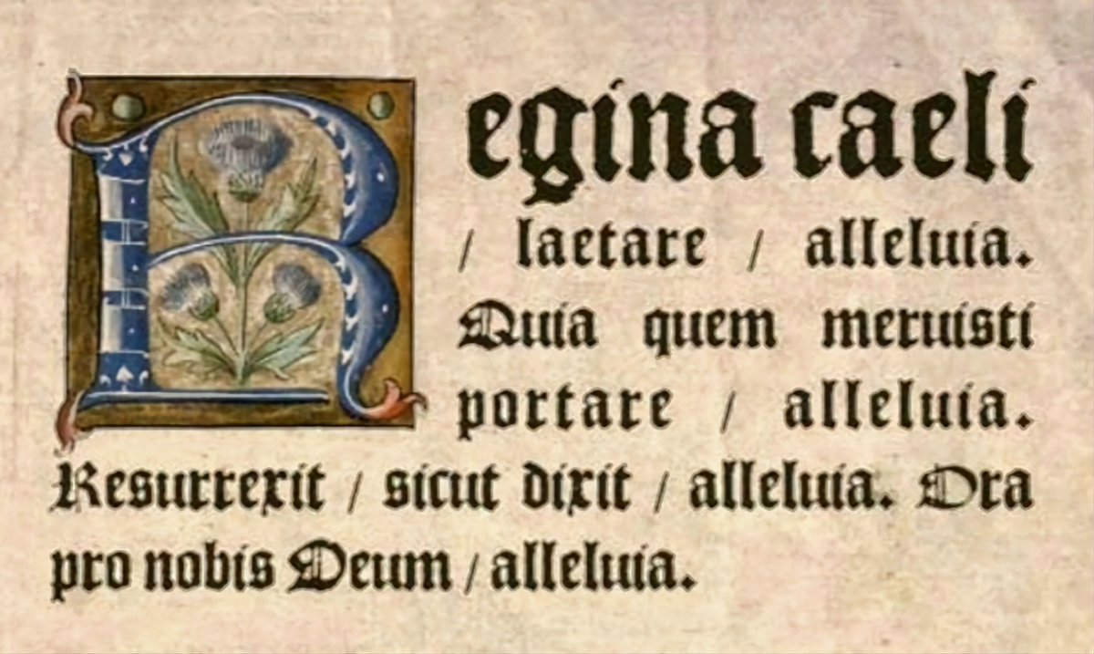 Memento Mori tweet media