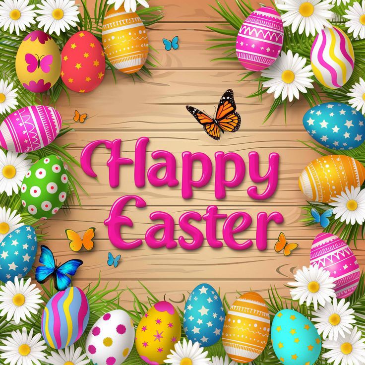 BimlaVerma6's tweet photo. #HappyEaster 💐
#Twitter_Friends 🙋🏽
आप सभी के जीवन में परमात्मा की दया दृष्टि बनी रहे 💖🕊️
@lucythecurious
@margret_017 https://t.co/T0MCEAdDMf