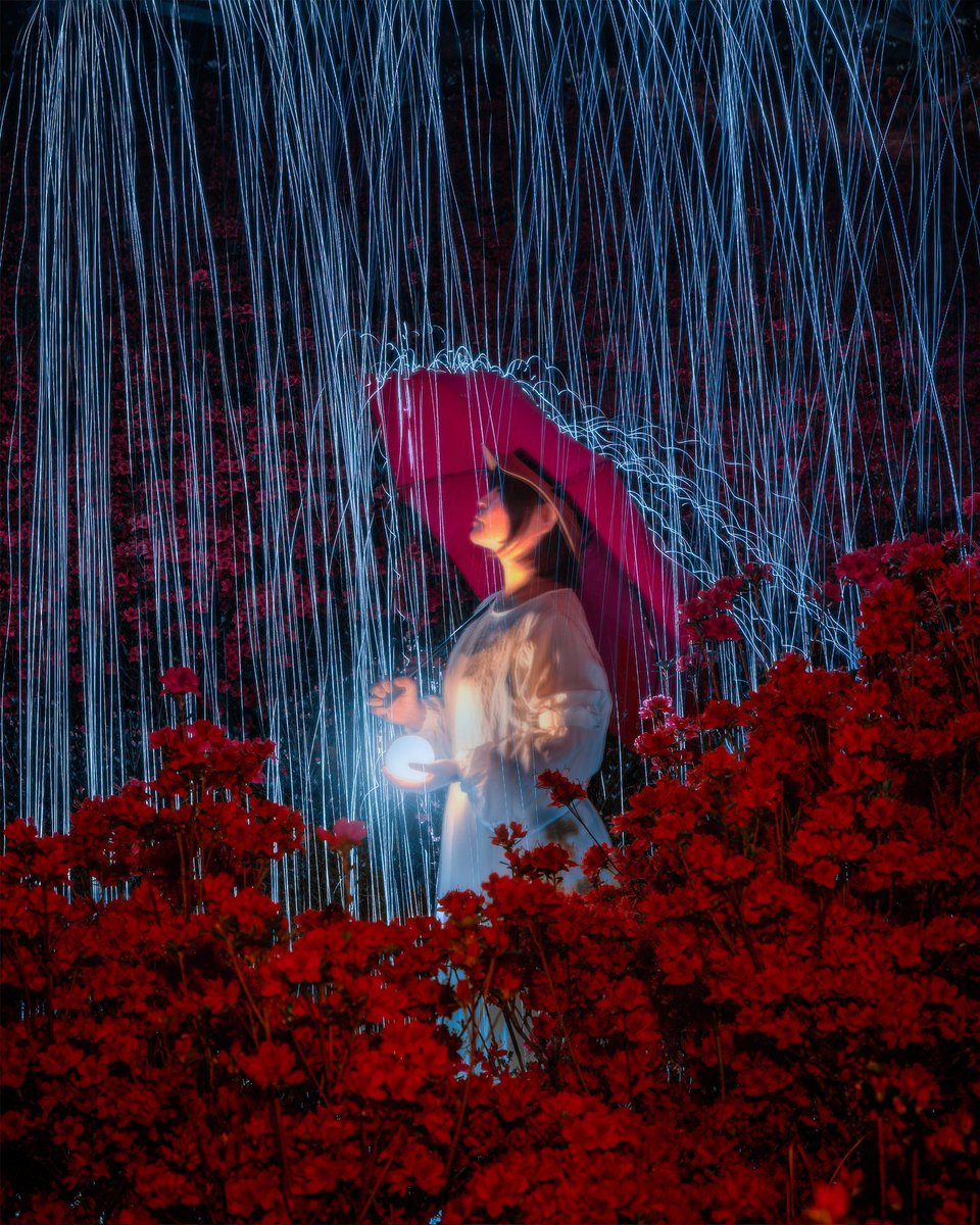 練習しててやっと作品になった光る雨☔
※合成ではない
※AI生成でもない
※お花畑に入ってない
※お花に当ててない
#東京カメラ部