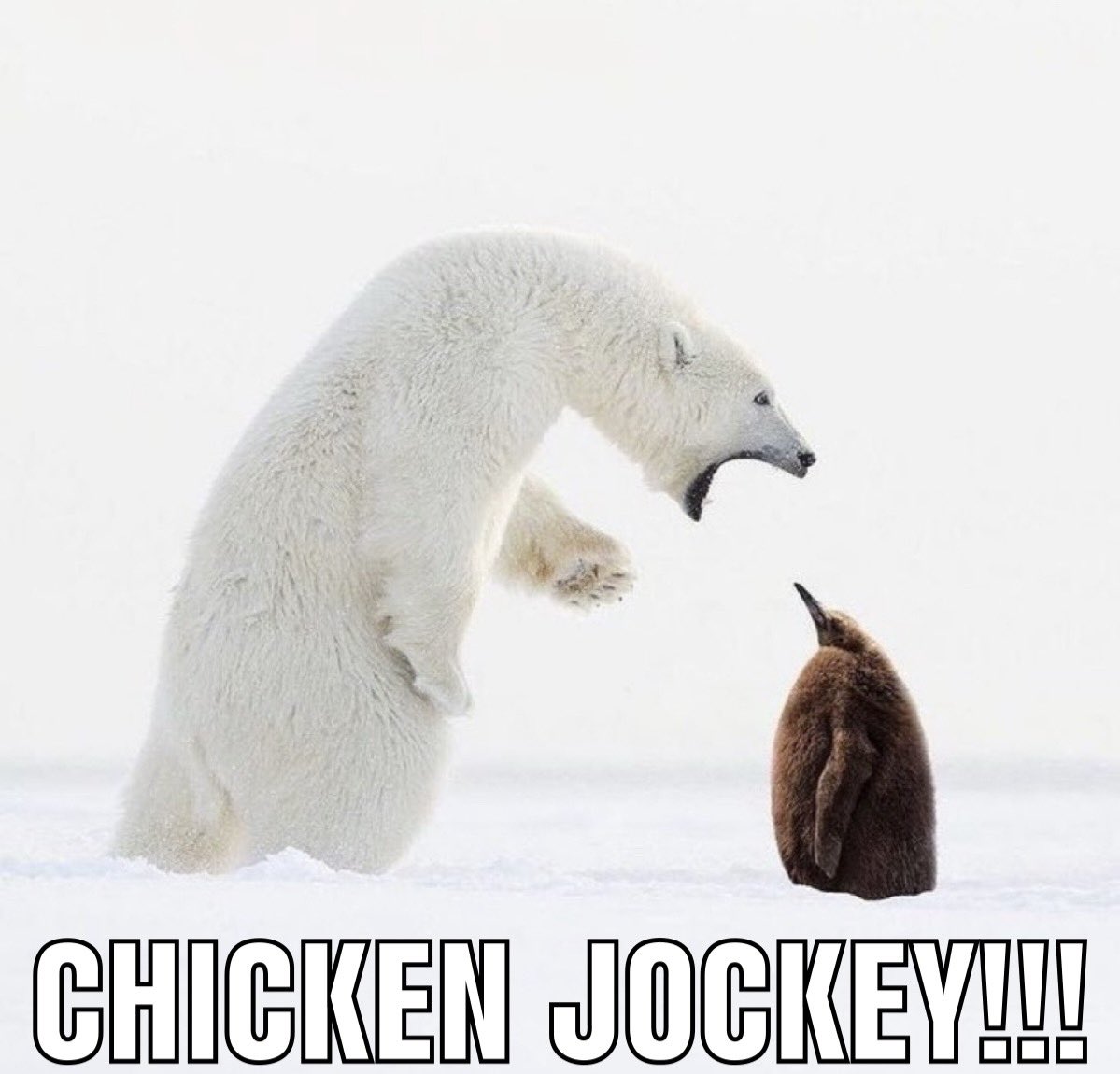 Cyrakek_'s tweet image. 