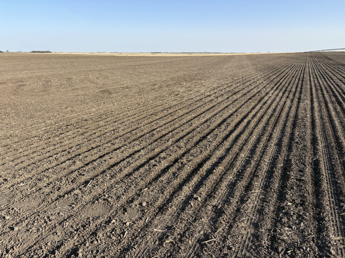 Eric M. Kamler tweet media