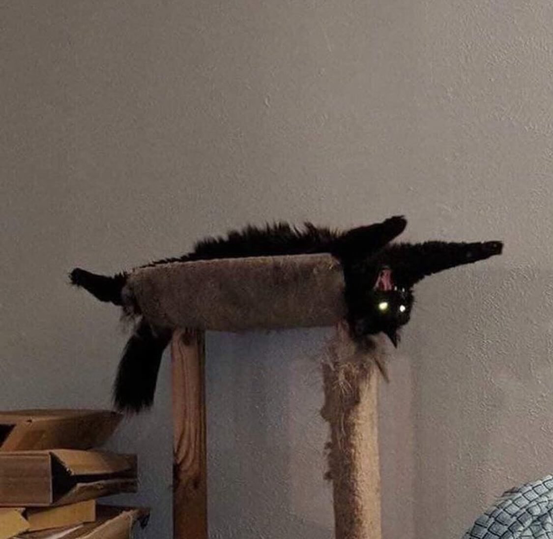 itsmajeck's tweet photo. @Bungie @MarathonTheGame plsplsplsplsplsplsplsplsplsplsplsplsplsplsplsplsplsplspls I need a code I need it I need it I need it plsplsplsplsplspls https://t.co/wMEVe1D7Hk