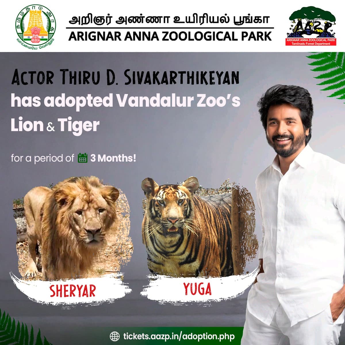 PRO Gopinath prakash (@progopinath) on Twitter photo Actor Mr. Sivakarthikeyan adopted a lion named Sheriyar and a tiger named Yuga from the Vandalur Zoo for 3 months and also bare the cost of their care and maintenance.
<a href="/pro_barani/">Barani Alagiri</a> Actor Mr. Sivakarthikeyan adopted a lion named Sheriyar and a tiger named Yuga from the Vandalur Zoo for 3 months and also bare the cost of their care and maintenance.
<a href="/pro_barani/">Barani Alagiri</a>