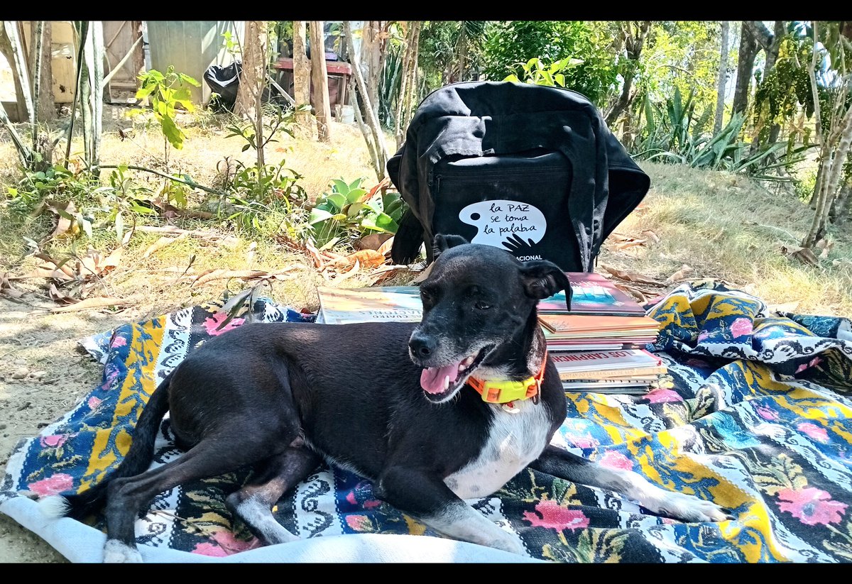 FMatarraton's tweet image. Los Guardianes del medio ambiente en Chorrera es la semilla con la que buscamos iniciar un proceso desde la lectura y el cuidado del medio ambiente como una forma de construir paz y hacer las paces con la naturaleza

#LaPazSeTomaLaPalabra 
#Paz 
#MedioAmbiente
#SoñarCreerCrear