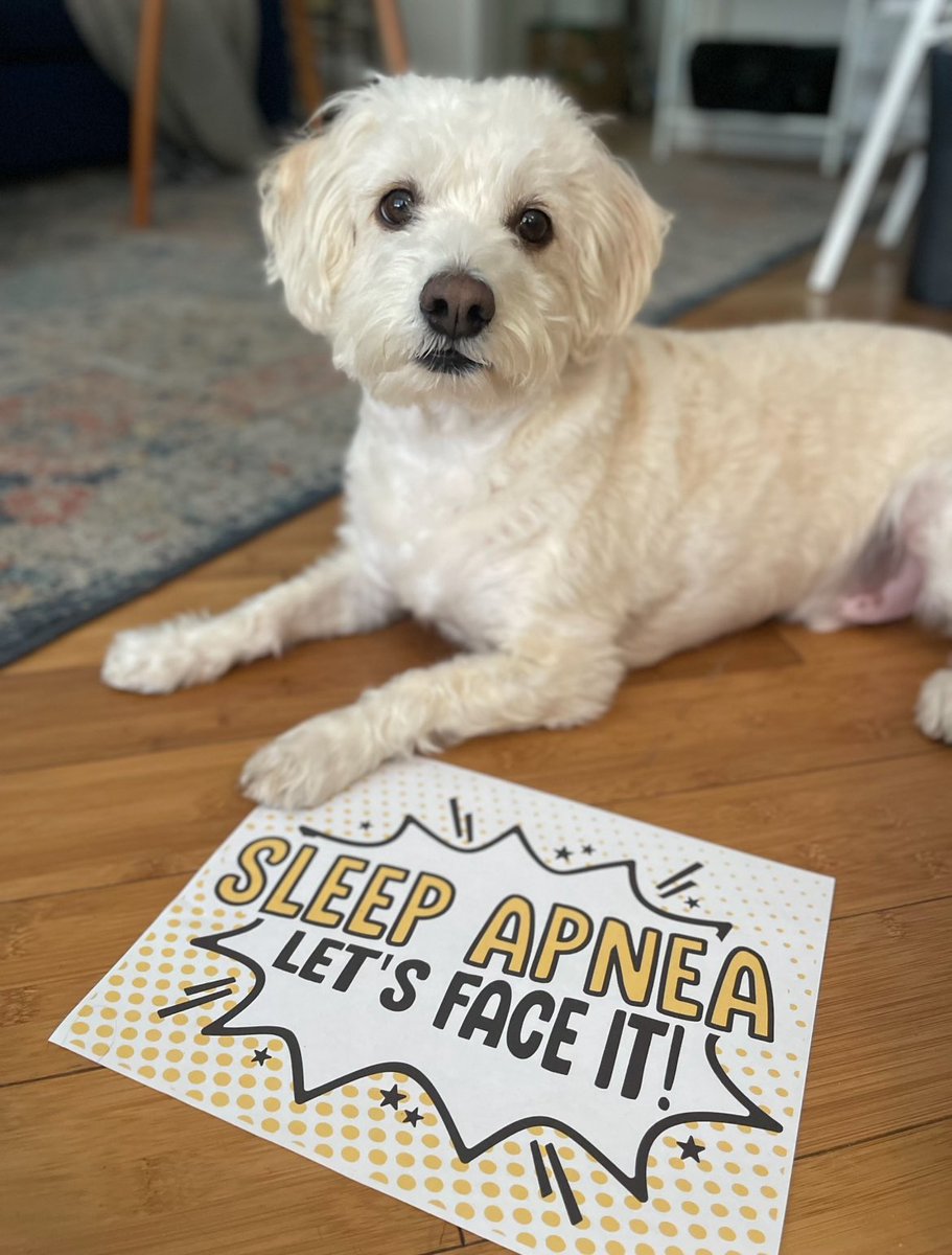 Julie Flygare (@remrunner) on Twitter photo Proud to support our amazing #sleepapnea community members and friends! <a href="/project_sleep/">Project Sleep</a> launches #sleepapnealetsfaceit during #sleepapneaeducationweek! Proud to support our amazing #sleepapnea community members and friends! <a href="/project_sleep/">Project Sleep</a> launches #sleepapnealetsfaceit during #sleepapneaeducationweek!