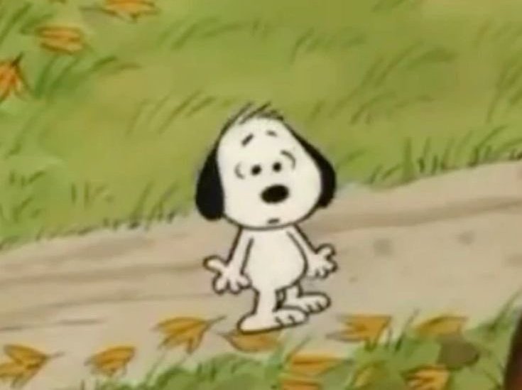 daynodia's tweet image. ︭ㅤ
ㅤ  canciones  / mensajes  𝓫y̶  𝒩𝐈︭𝐍︭𝐈︭  ! 
ㅤㅤㅤㅤㅤ     ﹑ porㅤㅤsigno .
ㅤㅤㅤㅤㅤㅤ──── ( 🌌 ) ────
— ; #tarottwt | cardinales, fijos y mutables.
ㅤㅤㅤㅤㅤㅤ sol.ㅤluna.ㅤvenus.
ㅤ