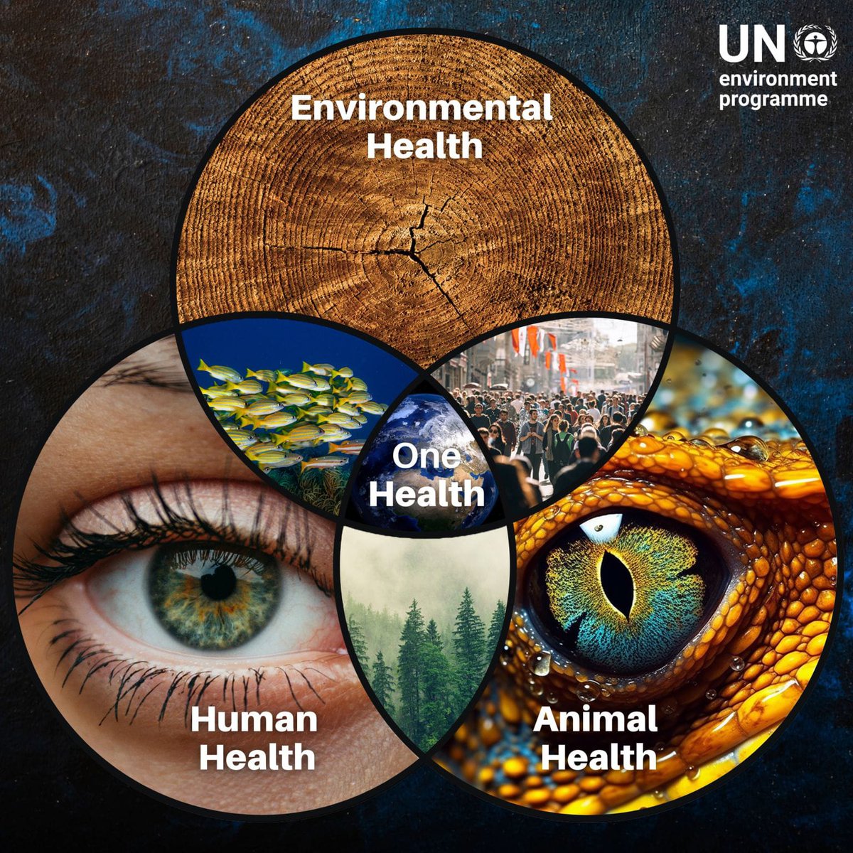 Kelly Wise tweet media