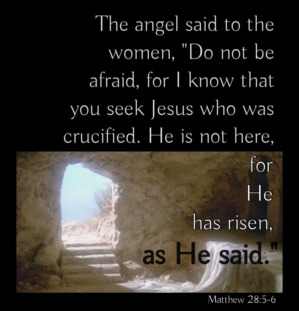 Matthew 28:5-6

Three Better Words

He Is Risen