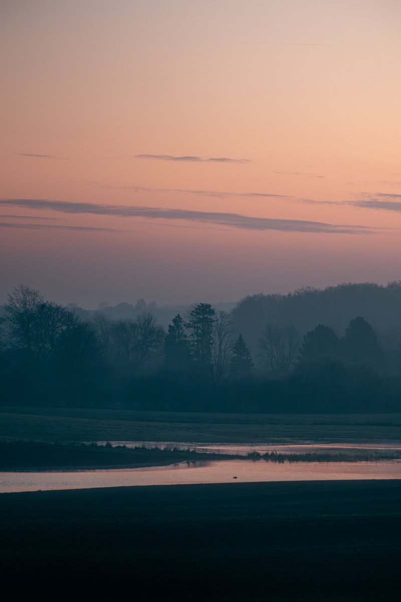 Darte Fex tweet media