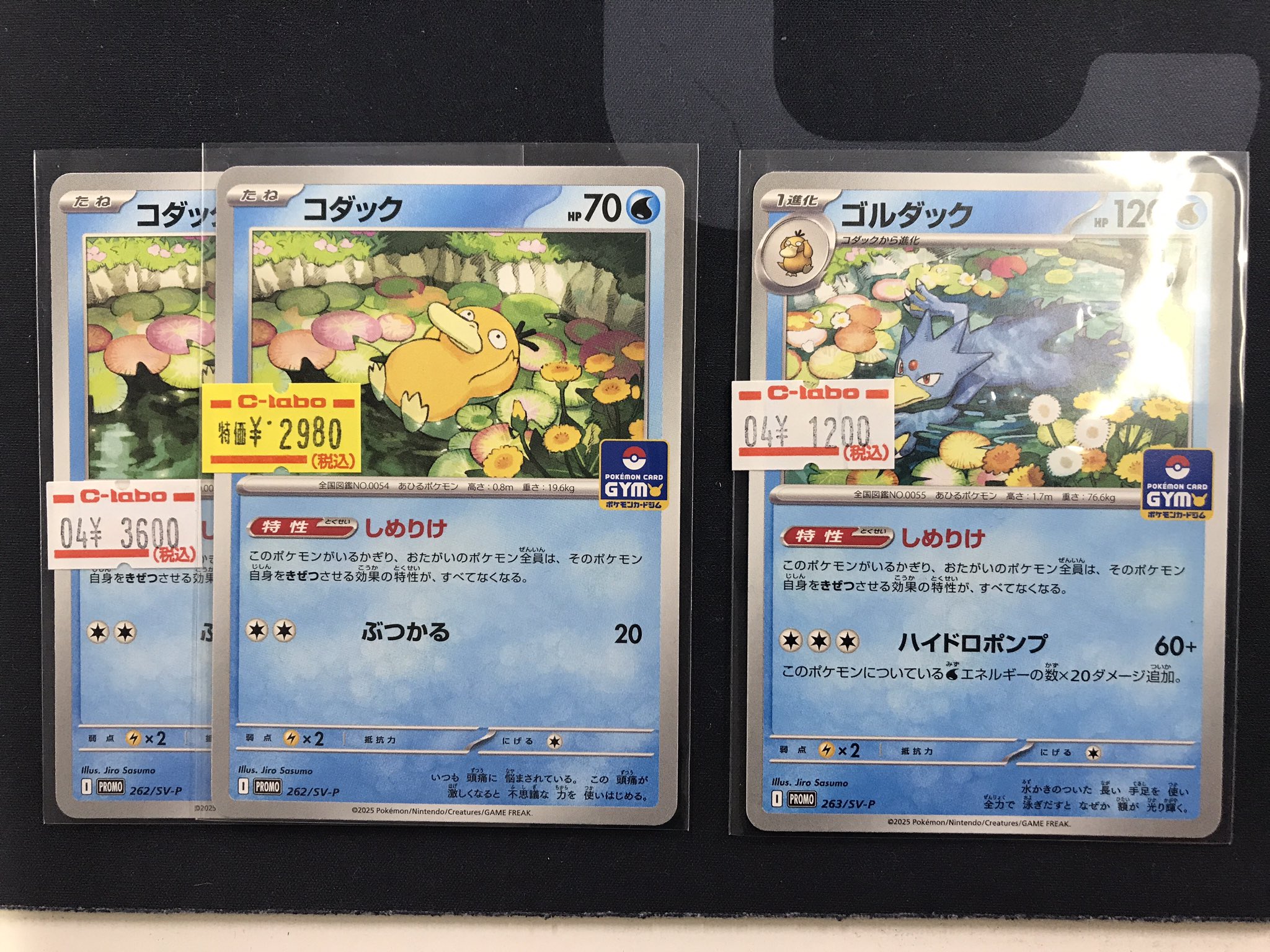 ポケモンカード　コダック ゴルダック　しめりけ　プロモ　連番　進化ライン　③ ポケモンカード コダック ゴルダック しめりけ プロモ 連番 進化