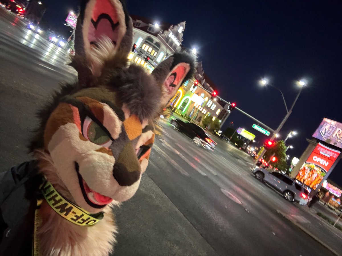 West 🔜 LVFC tweet media